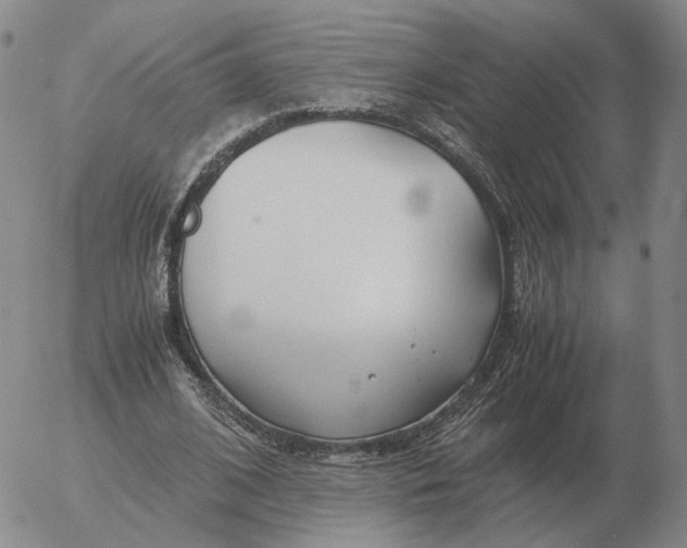 X0000053110584200508012127