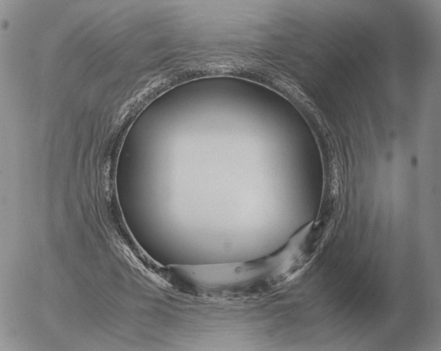 X0000053110585200508012127