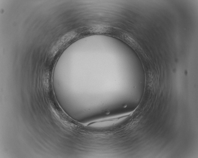 X0000053110586200508012127