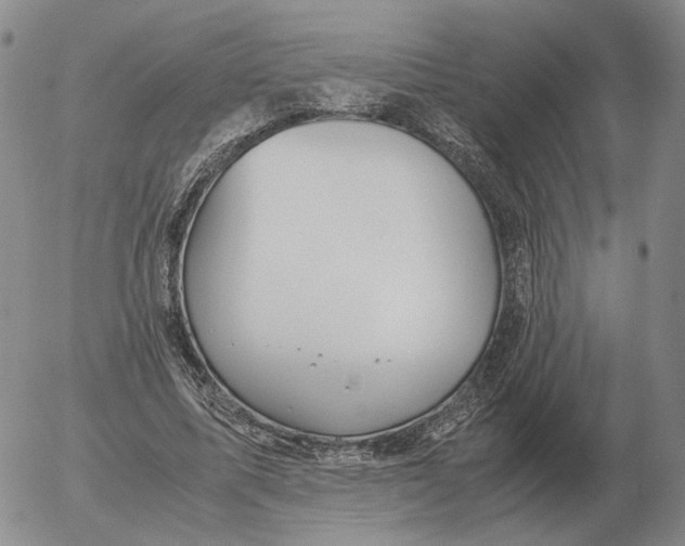 X0000053110587200508012127