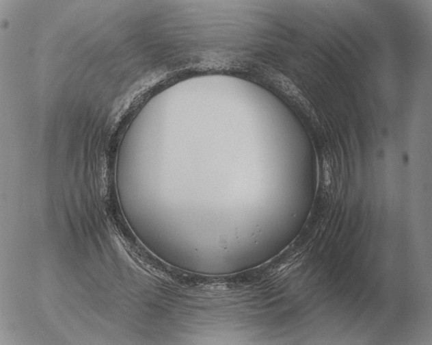 X0000053110588200508012127