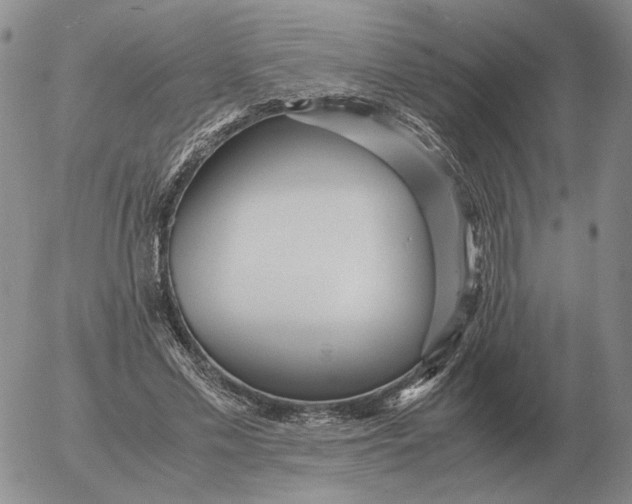 X0000053110589200508012127