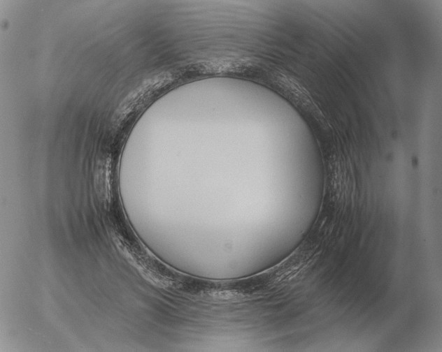 X0000053110590200508012127