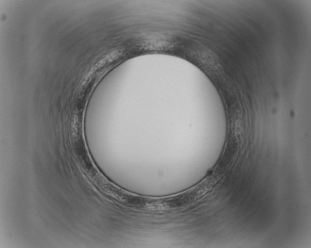 X0000053110591200508012127