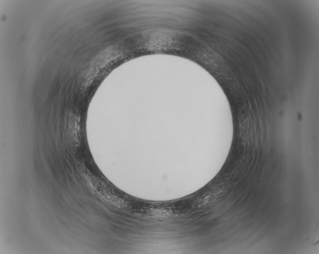 X0000053110592200508012127