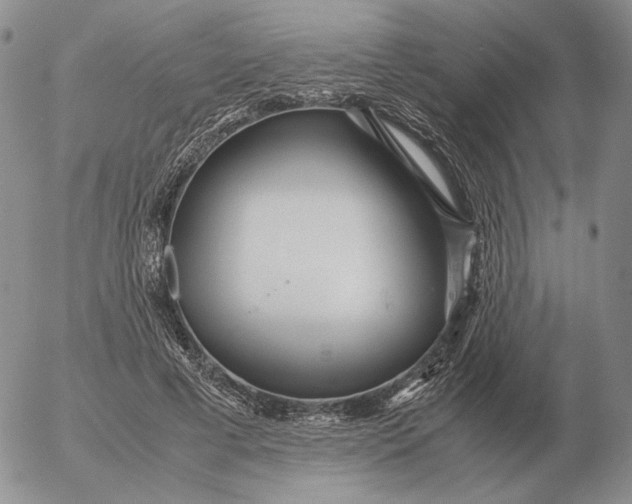 X0000053110593200508012127