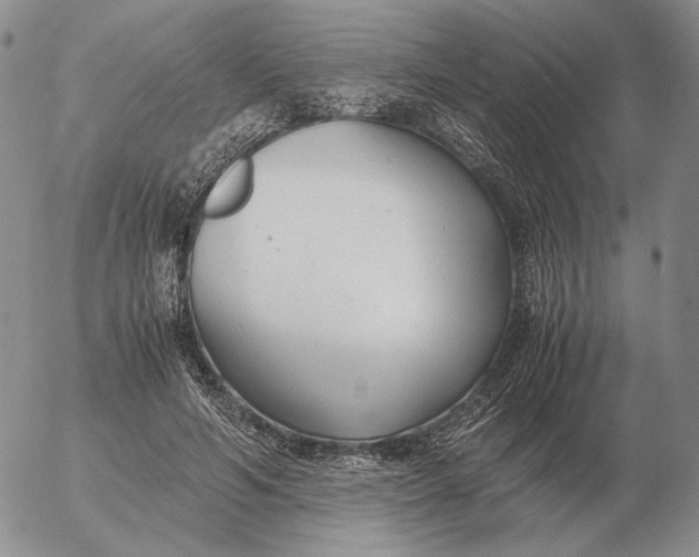 X0000053110594200508012127