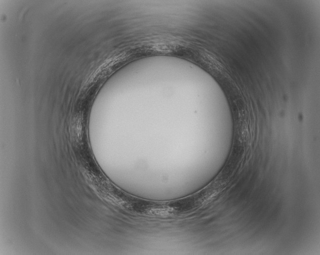 X0000053110595200508012127