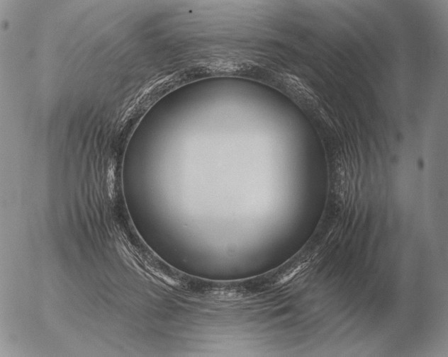 X0000053110596200508012127