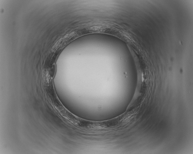 X0000053110597200508012127