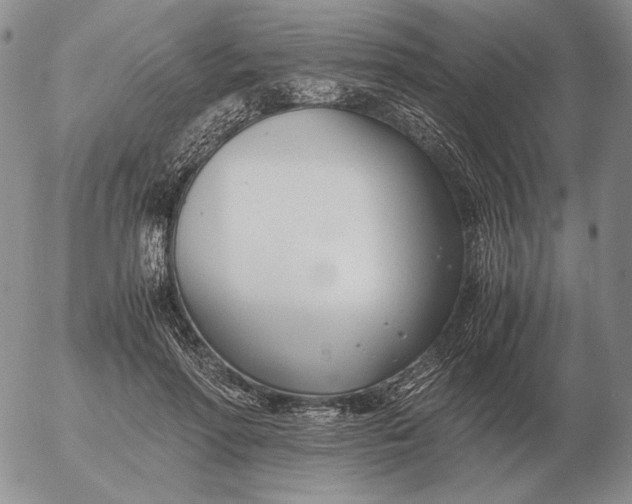 X0000053110598200508012127