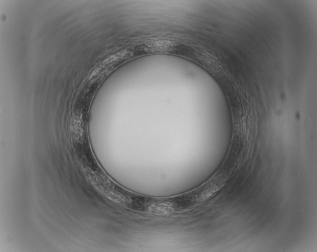 X0000053110599200508012127