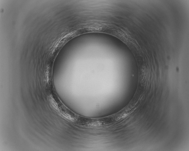 X0000053110600200508012127