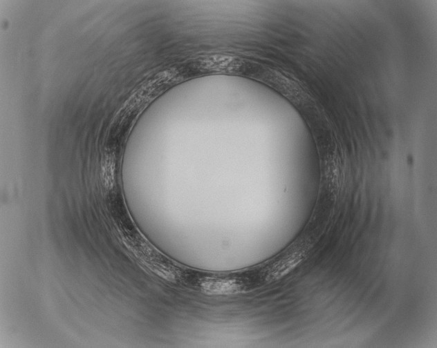 X0000053110602200508012127