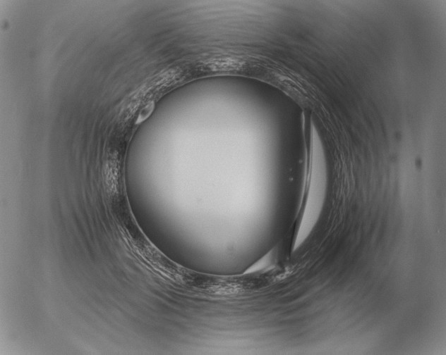 X0000053110604200508012126