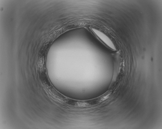 X0000053110605200508012126