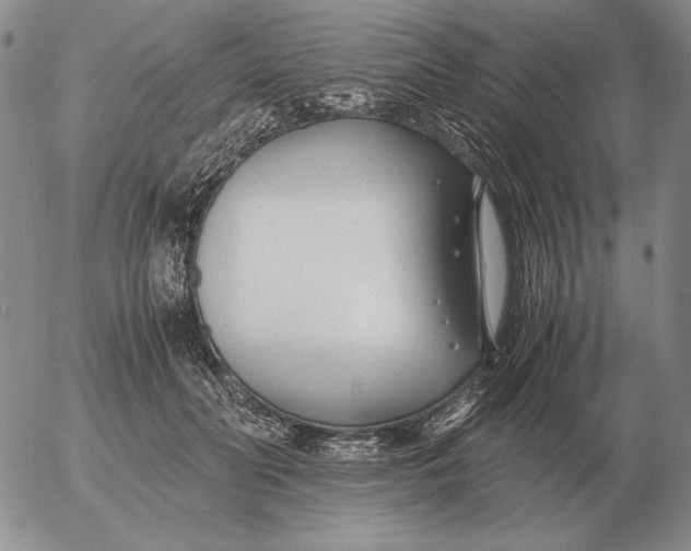 X0000053110606200508012126