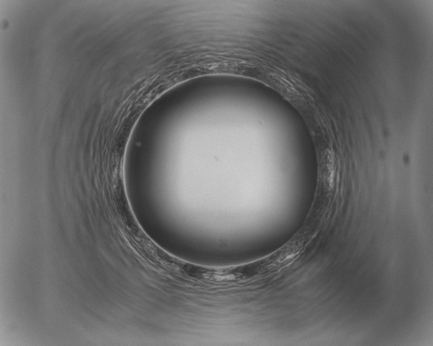 X0000053110607200508012126