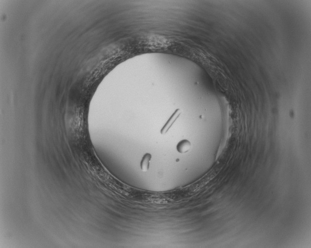 X0000053110608200508012126