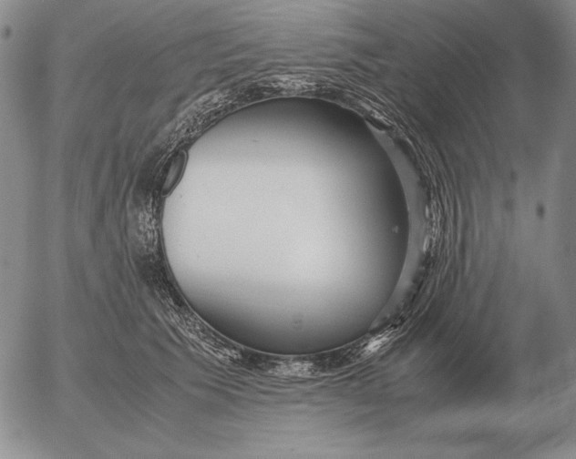 X0000053110609200508012126