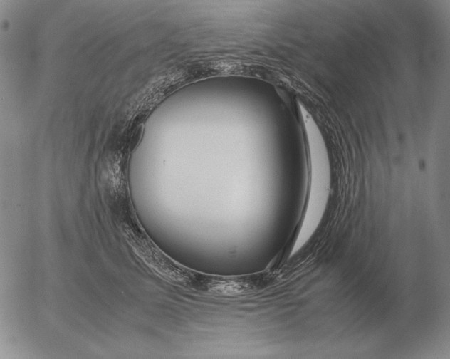 X0000053110611200508012126