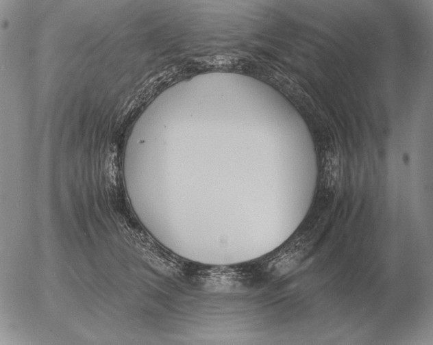 X0000053110612200508012126