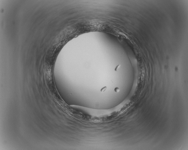 X0000053110613200508012126