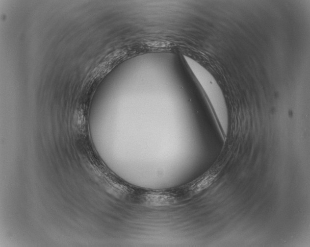 X0000053110614200508012126