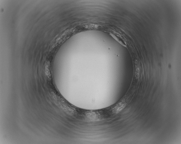 X0000053110616200508012126