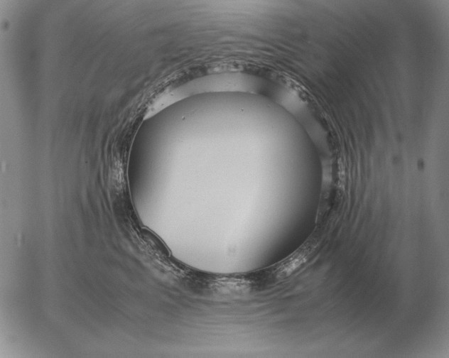 X0000053110617200508012126