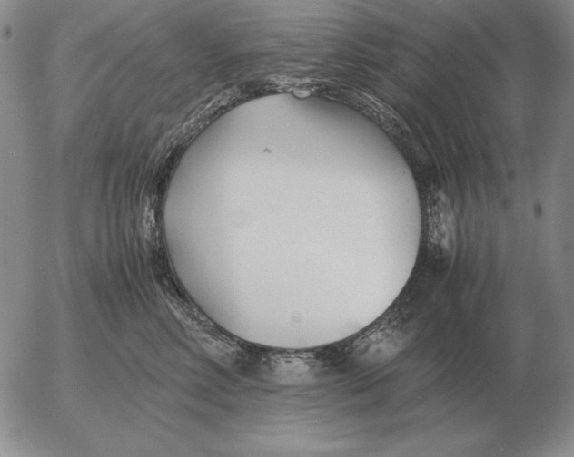 X0000053110618200508012126