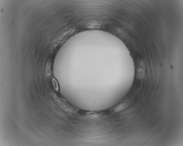 X0000053110620200508012126