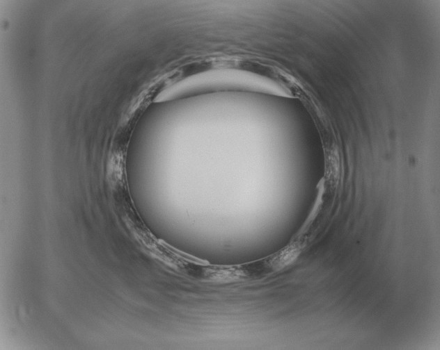 X0000053110621200508012126