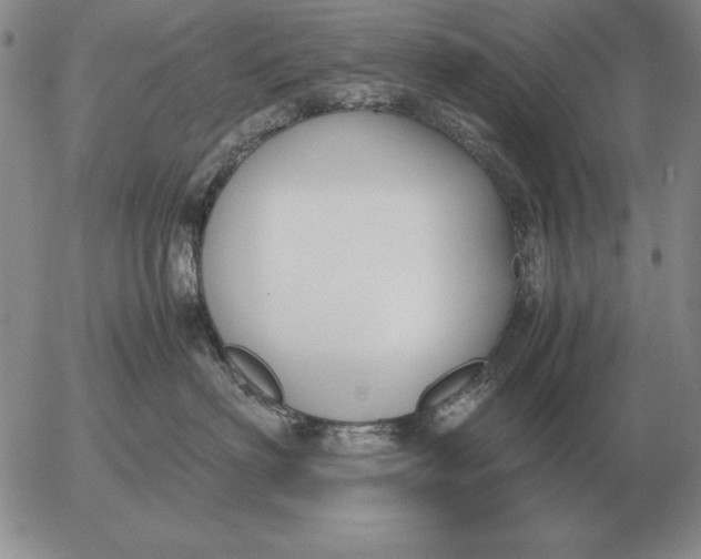 X0000053110622200508012126