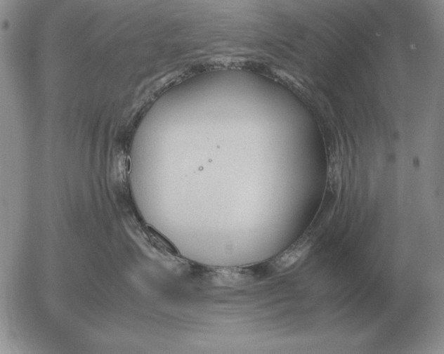 X0000053110623200508012126