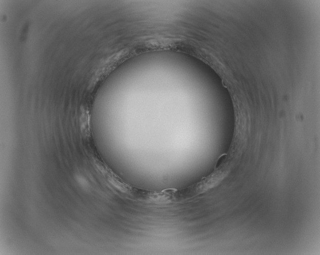 X0000053110624200508012126