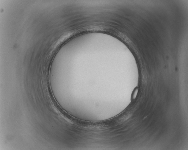 X0000053110625200508012125