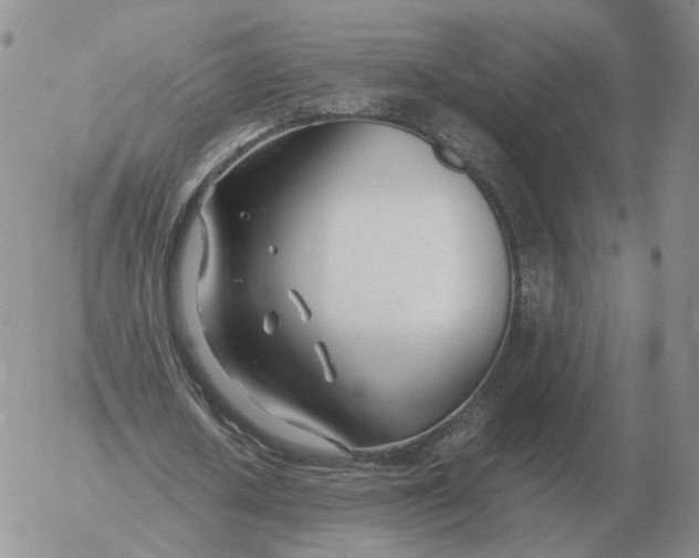 X0000053110626200508012125