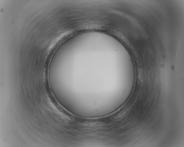 X0000053110629200508012125