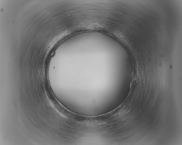 X0000053110630200508012125