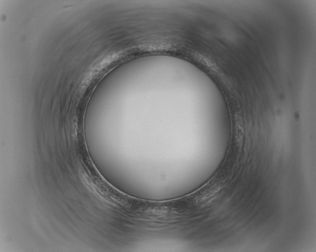 X0000053110631200508012125