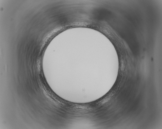 X0000053110632200508012125