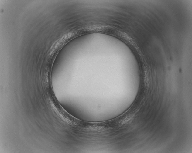 X0000053110633200508012125