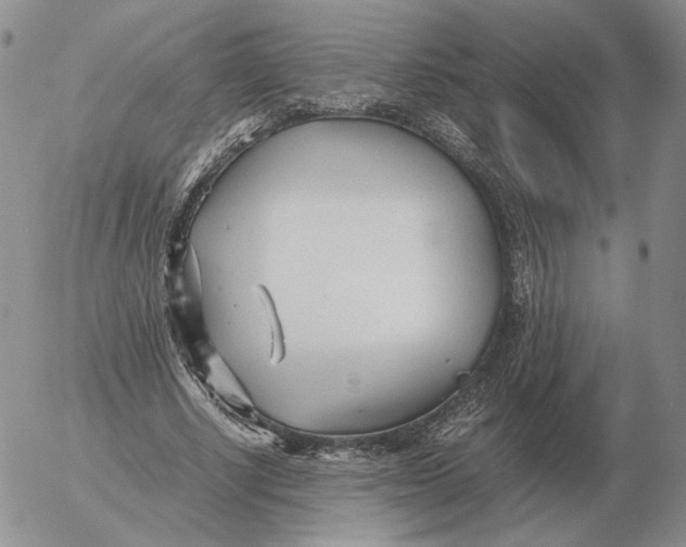 X0000053110634200508012125