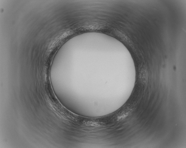 X0000053110635200508012125