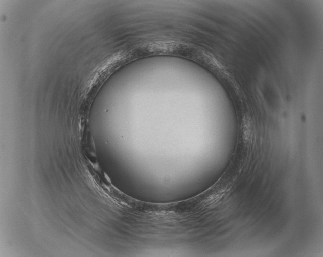 X0000053110637200508012126