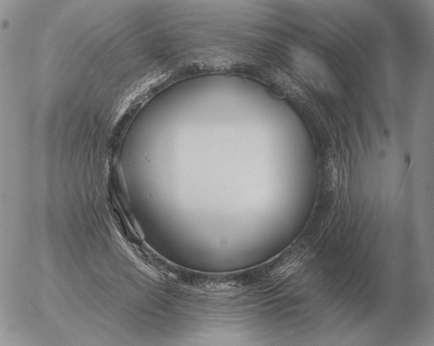 X0000053110638200508012126