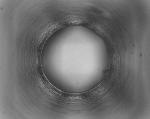 X0000053110639200508012126