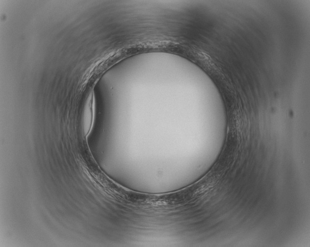 X0000053110640200508012126