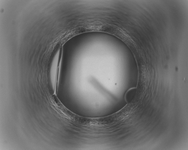 X0000053110641200508012126